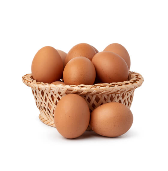 Egg